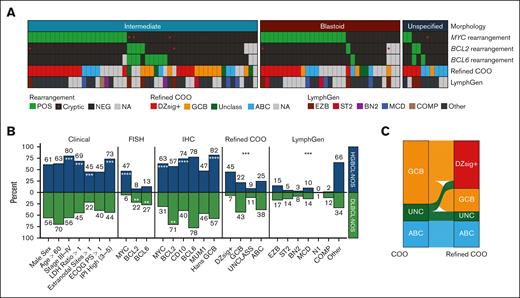 Clinical and molecular features of HGBCL-NOS. (A) Heat map of molecular features of the 92 HGBCL-NOS tumors included in the study, grouped by morphological subtype. MYC, BCL2, and BCL6 rearrangement status were determined by FISH. Tumors with a negative (or missing) MYC or BCL2 FISH result for which a rearrangement was identified by sequencing are indicated with a red dot. (B) Comparison of clinical and molecular features in HGBCL-NOS with those of DLBCL-NOS. P values were calculated by the Fisher exact test for comparisons of clinical, FISH, and IHC data, and by χ2 test for refined COO and LymphGen comparisons. (C) Distribution of COO and refined COO subtypes in HGBCL-NOS. ∗P < .05; ∗∗P < .01; ∗∗∗P < .001; ∗∗∗∗P < .0001.