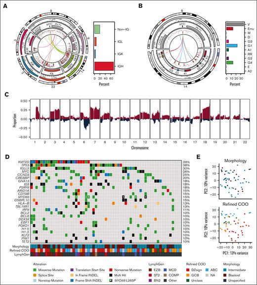 The genetic landscape of HGBCL-NOS. (A) The architecture of MYC rearrangements and the observed frequency of IGH, IGK, IGL, and non-IG rearrangement partners. The outermost ring shows the chromosome ideogram, followed by a genomic coordinate scale and gene coordinate track. The innermost lines show the linkages between MYC and the corresponding rearrangement partner for each sample. (B) The architecture of IGH::MYC rearrangements and the frequency of breakpoints occurring at the indicated regions of the IGH locus. Eμ and 3′ regulatory region enhancers are included in the gene coordinate track (red). (C) Copy number profile of HGBCL-NOS. The proportion of tumors with a copy number gain (red) or deletion (blue) is plotted across each chromosome. (D) Oncoplot showing the mutation status of the most frequently mutated genes in HGBCL-NOS for each patient tumor. Genes included in the plot were mutated in at least 10% of HGBCL-NOS samples and identified as a significantly mutated gene in HGBCL-NOS, DLBCL-NOS, or BL. (E) PCA of RNA sequencing data. COMP, composite; NA, not available.