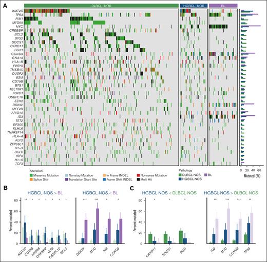 Comparison of the mutational landscape of HGBCL-NOS to DLBCL-NOS and EBV− BL. (A) Oncoplot showing the mutation status of recurrently mutated genes for 61 HGBCL-NOS, 341 DLBCL-NOS, and 63 BL tumors. HGBCL-NOS and BL tumors were sequenced by WGS or WES, and DLBCL-NOS tumors were sequenced using a targeted capture panel covering 125 genes. Genes included in the plot represent the intersection between (1) genes covered by the targeted capture panel and (2) genes that were identified as significantly mutated in HGBCL-NOS, DLBCL-NOS, or BL and mutated at a frequency of ≥10% in at least one of these groups. Nine genes that fulfilled the second criterion were not covered by the capture panel (EBF1, FBXO11, IGLL5, KIAA1671, PCBP1, PHF6, RFX7, SMARCA4, and TFAP4). Genes are ordered by their mutational frequency across all groups, and gene mutation frequencies for each group are shown in the bar plots on the right. (B) Comparison between HGBCL-NOS and BL, with DLBCL shown in faded color for reference. Genes with significantly different mutation frequencies between HGBCL-NOS and BL are displayed. (C) Comparison between HGBCL-NOS and DLBCL, with BL shown in faded color for reference. Genes with significantly different mutation frequencies between HGBCL-NOS and DLBCL are displayed. P values were calculated using the Fisher exact test and adjusted for multiple comparisons using the Benjamini-Hochberg method. ∗Q < 0.1; ∗∗Q < 0.01; ∗∗∗Q < 0.001; ∗∗∗∗Q < 0.0001.