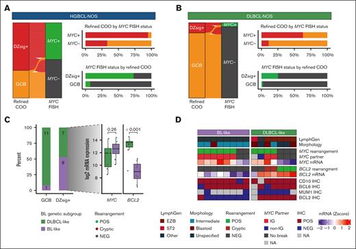 Molecular features of GCB tumors. All analyses are restricted to GCB tumors. For refined COO, the GCB group includes tumors that were negative or indeterminant for DZsig expression. MYC and BCL2 rearrangement status were determined by FISH, and MYC rearrangement partners were identified by sequencing. (A-B) The relationship between DZsig expression and MYC rearrangement status in (A) HGBCL-NOS and (B) DLBCL-NOS. Each ribbon in the alluvial plot represents a single biopsy, linking its MYC rearrangement and DZsig expression status (left). Bar plots show the percentage of DZsig+ biopsies stratified by MYC rearrangement status (top right) and the frequency of MYC rearrangement stratified by DZsig expression (bottom right). (C) HGBCL-NOS biopsies were assigned into BL-like and DLBCL-like groups using a random forest classifier trained on mutational data to distinguish BL from DLBCL-NOS. The bar plot shows the percentage of tumors classified into DLBCL-like and BL-like groups stratified by DZsig expression status. Box plots display MYC and BCL2 messenger RNA (mRNA) expression levels in DZsig+ HGBCL-NOS tumors classified as DLBCL-like or BL-like. P values for comparisons between groups were calculated using a t test. (D) Molecular features of BL-like and DLBCL-like DZsig+ HGBCL-NOS tumors. Each column of the heat map corresponds to a single biopsy. MYC and BCL2 mRNA expression levels are shown as a Z-score relative to all HGBCL-NOS biopsies with available digital gene expression profiling data. IG, immunoglobulin locus; NA, not available; NEG, negative; POS, positive.