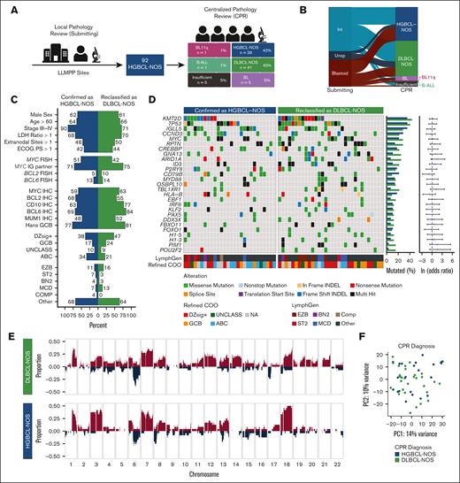 Comparison of tumors by CPR assignment. (A) Biopsies were initially reviewed locally by LLMPP hematopathologists at each site to confirm HGBCL-NOS diagnosis and assign a morphological subtype. All biopsies then underwent CPR by a panel of LLMPP hematopathologists. Biopsies were either confirmed as HGBCL-NOS, reclassified as another lymphoma entity, or deemed insufficient for diagnosis. (B) Concordance of submitted morphological subtype and CPR diagnosis. Each ribbon in the alluvial plot represents a single biopsy, linking its morphological subtype assigned by the submitting site to the centralized review diagnosis. (C) Clinical and molecular features in tumors confirmed as HGBCL-NOS or reclassified as DLBCL-NOS. Comparisons of clinical, FISH, and IHC data were performed using the Fisher exact test, whereas refined COO and LymphGen classifications were compared by the χ2 test. No comparisons were statistically significant. (D) Comparison between the mutational landscape of tumors confirmed as HGBCL-NOS or reclassified as DLBCL-NOS. Genes included in the oncoplot were mutated in at least 10% of HGBCL-NOS samples and identified as a significantly mutated genes in HGBCL-NOS, DLBCL-NOS, or BL. Gene mutation frequencies for each group are shown in the bar plots on the right, with odds ratios and 95% confidence intervals for each gene comparison shown in the forest plots. (E) Copy number profiles of tumors confirmed as HGBCL-NOS or reclassified as DLBCL-NOS. The proportion of tumors with a copy number gain (red) or deletion (blue) is plotted across each chromosome. (F) PCA of RNA sequencing data. B-ALL, B-cell acute lymphoblastic leukemia/lymphoma; BL11q, Burkitt-like lymphoma with 11q aberration; COMP, composite; ECOG PS, Eastern Cooperative Oncology Group performance status; LDH, lactate dehydrogenase; Int, intermediate; MUM1, multiple myeloma oncogene 1; NA, not available; Unsp, unspecified.