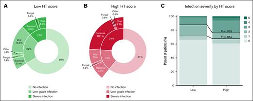 Distribution of infection grades by HT score. (A) Distribution of infection grades and infection type in patients with a low HT score. (B) Distribution of infection grades and infection type in patients with a high HT score. (C) Infection severity according to a low and high HT score. Low-grade infection represents infection grades 1 to 2. Severe infection is defined as an infection grade ≥3. Upper P value describes the difference between HThigh and HTlow patients in the incidence of infection grade ≥3, and lower P value in the incidence of infection grade ≥2.