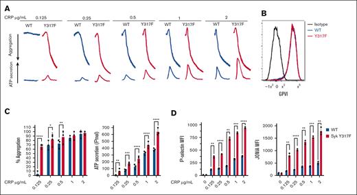 Enhanced GPVI-mediated aggregation and secretion in Syk(Y317F) platelets. (A) Representative aggregation and secretion tracings of Syk(Y317F) and WT control platelets after stimulation with the indicated concentrations of CRP. (B) Expression of GPVI on CD41+ cells is shown as a flow histogram. Staining of Syk(Y317F) and WT platelets with fluorescein isothiocyanate (FITC)–conjugated anti-GPVI is compared with isotype control FITC-labeled immunoglobulin G1. (C) Quantification of aggregation (left) and ATP secretion (right). (D) Quantification of P-selectin (left) and JON/A (right) expression. Results are depicted as mean ± standard error of the mean (SEM), and differences are analyzed using 2-way analysis of variance (ANOVA) with Tukey post hoc test. ∗P < .05; ∗∗P < .01; ∗∗∗P < .001; ∗∗∗∗P < .0001.