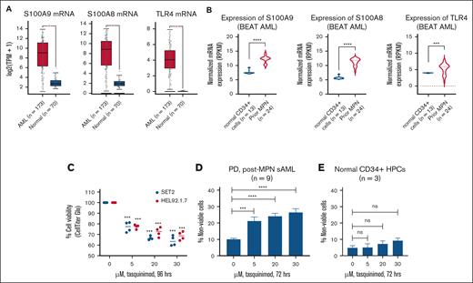 Treatment with TQ induced loss of viability in cultured and PD sAML cells while sparing normal CD34+ HPCs. (A) mRNA expression of S100A9, S100A8, and TLR4 in TCGA AML samples (n = 173) vs 70 normal samples from the GEPIA server. ∗P < .05. (B) mRNA expression of S100A9, S100A8, and TLR4 in post-MPN sAML cells (n = 24) compared with normal CD34+ cells (n = 13) from the BEAT AML data set. ∗∗∗P < .005; ∗∗∗∗P < .001. (C) SET-2 and HEL92.1.7 cells were treated with the indicated concentrations of TQ for 96 hours. At the end of treatment, relative cell viability was determined using a CellTiter-Glo assay. The percentage of viable cells in each condition was normalized relative to the untreated control cells. Columns, mean of 2 independent experiments performed in duplicate; bars, standard error of the mean (SEM). (D) PD post-MPN sAML cells (n = 9) were treated with the indicated concentrations of TQ for 72 hours. After this, the cells were washed with 1× phosphate-buffered saline (PBS) and stained with TO-PRO-3 iodide. The percentage of TO-PRO-3 iodide–positive, nonviable cells were determined by flow cytometry. Columns, mean of 9 samples; bars, SEM. ∗∗∗P < .005; ∗∗∗∗P < .001, compared with the control cells. (E) Normal CD34+ HPCs were treated with the indicated concentrations of TQ for 72 hours. After this, the cells were washed with 1× PBS and stained with TO-PRO-3 iodide. The percentage of TO-PRO-3 iodide–positive, nonviable cells was determined by flow cytometry. HPC, hematopoietic stem/progenitor cell; ns, not significant; TPM, transcripts per million.