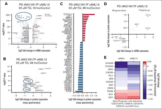 Treatment with TQ induced concordant alterations in the transcriptome and proteome of post-MPN sAML cells and reduced protein expression of S100A8 and S100A9 in phenotypically defined post-MPN sAML stem/progenitor cells. (A) PD (JAK2-V617F) sAML cells (sample 13 on the oncoplot) were treated with 20 μM of TQ for 16 hours in biologic duplicates. After this, total RNA was isolated and used for RNA-seq analysis. The volcano plot shows the log2 fold-change vs –log10P value for all mRNA with >1.25-fold change up or down with a P value <.05. (B) PD (JAK2-V617F) sAML cells (sample 13 on the oncoplot) were treated with the indicated concentration of TQ for 48 hours in biologic duplicates. At the end of treatment, cells were harvested and used for whole-proteome tandem mass spectrometry. The volcano plot shows the log2 fold-change vs –log10P value for all proteins with >1.2-fold change up or down with a P value <.05. (C) Log2 fold-change in selected protein expressions in TQ-treated PD post-MPN sAML cells compared with dimethyl sulfoxide control cells. Threshold is proteins with greater than a 1.2-fold change up or down and a P value <.05. (D) Scatterplot of TQ-induced, concordant mRNA and protein expression changes in PD post-MPN sAML 13 cells. (E) PD (JAK2-V617F) sAML cells (9 and 14 from the oncoplot) were treated with 20 μM of TQ for 48 hours. Cells were used for CyTOF analysis with a cocktail of rare metal–tagged antibodies to define stem/progenitor cells and other sAML-relevant oncoproteins. Panel shows a heat map of log2 fold-change in protein expression from cells treated with 20 μM of TQ for 48 hours compared with the control cells. Hi, high; Lo, low.