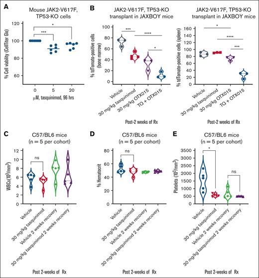 Cotreatment with TQ and BET inhibitor OTX015 reduced leukemia burden greater than either agent alone in a murine BM transplant model. (A) Murine JAK2-V617F, TP53-KO cells were treated with the indicated concentrations of TQ for 96 hours. At the end of treatment, relative cell viability was determined using a CellTiter-Glo assay. The percentage of viable cells in each condition was normalized relative to the untreated control cells. All the data points from 2 independent experiments performed in triplicate are shown; bar, median loss of viability. ∗P < .05; ∗∗∗P < .005. (B) JAXBOY mice were infused with 1 × 103 murine JAK2-V617F, TP53-KO cells plus 1 × 106 total BM cells from JAXBOY donor mice. Mice were treated with the indicated doses of TQ and/or OTX015 for 2 weeks. The mice were euthanized, and the spleen and BM cells were collected. The isolated cells were analyzed for dTomato fluorescence by flow cytometry. ∗P < .05; ∗∗∗P < .005; ∗∗∗∗P < .001. (C-E) C57/BL6 mice (n = 5 mice per cohort) were treated with vehicle or TQ for 2 weeks. Mice were bled and complete blood counts (CBCs) were performed. The mice were allowed to recover with no treatment for 2 weeks and then bled for CBC analysis. ∗P < .05, compared with vehicle-treated mice. ns, not significant; Rx, treatment; WBCs, white blood cells.