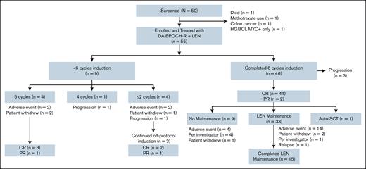 Trial profile. Safety and efficacy intent-to-treat population includes the 55 patients enrolled in the study. One patient on screening had HGBCL with MYC rearrangement, but was negative for BCL2 by immunohistochemistry and FISH. HGBCL, high-grade B-cell lymphoma.