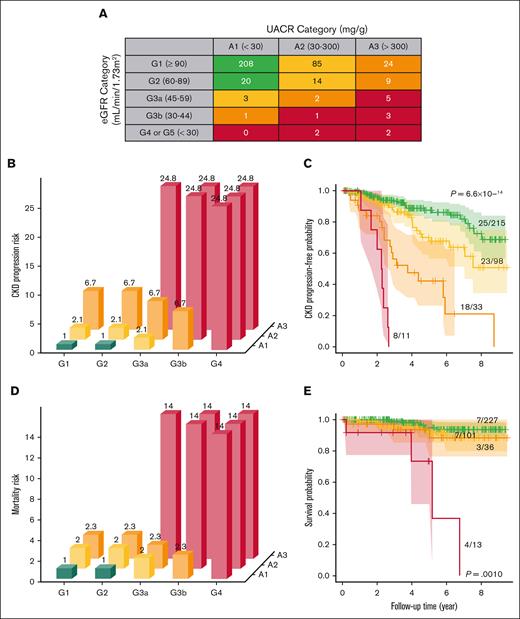 KDIGO heat map predicts progressively higher risks of CKD progression and mortality in adults with SCD. (A) We applied the KDIGO heat map according to 2 consecutive UACR and eGFR values ≥3 months apart to categorize adults with SCD. The KDIGO heat map predicted risk of (B-C) CKD progression and (D-E) mortality by HRs and Kaplan-Meier curves, respectively. HRs with the green category as the reference variable and log-rank P values are provided.
