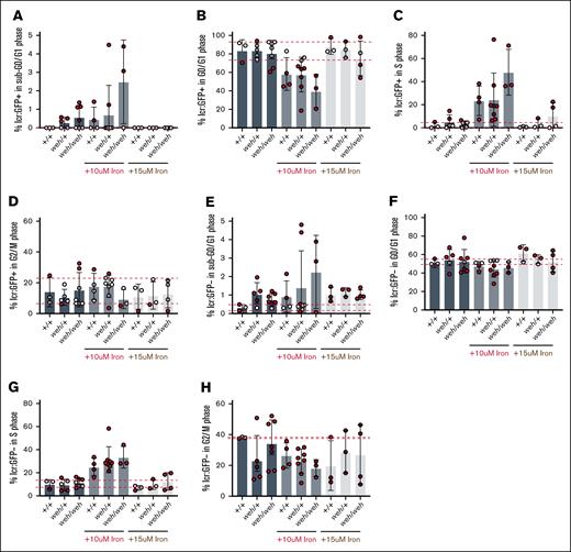 Fpn1 is not required for erythroid cell cycle progression although homozygous mutants are deficient in mitochondrial iron (Figure 2). (A) Fpn1 deficiency does not significantly increase erythroid cell death (percentage of cells with sub-G0/G1 DNA), but there are increased numbers of weh/+ and weh/weh embryos with increased numbers of percentage of sub-G0 DNA relative to vehicle-treated WT. Addition of 15 μM iron reduced cell death to WT levels. (B) weh/+ and weh/weh mutants did not differ from the WT group in the number of erythroid cells in G0/G1. This remained consistent with iron supplementation. (C) There were no significant differences between groups in the percentage of erythroid cells in S phase. (D) There were no significant differences between groups in the percentage of erythroid cells in G2/M. (E) Fpn1 deficiency increased cell death in nonerythroid (GFP−) cells. Addition of iron increased cell death in WT cells, so there were no differences in the percentage of nonerythroid cell with sub-G0/G1 between WT and mutant groups. (F) Fpn1 deficiency did not significantly decrease the proportion of nonerythroid cells in G0/G1. (G) There were no significant differences between groups in the percentage of erythroid cells in S phase. (H) There were no significant differences between groups in the percentage of nonerythroid cells in G2/M.