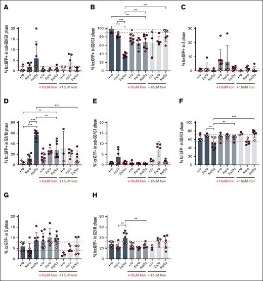 Iron transport via Mfrn1 is required for erythroid cell cycle progression. (A) Mfrn1 deficiency does not cause increased erythroid cell death. We did not observe a significant difference between WT, frs/+, and frs/frs groups in the numbers of cells with sub-G0 DNA. (B) Most WT erythroid cells were in G0/G1, suggesting they were quiescent. There was a significant decrease in the numbers of frs/+ and frs/frs erythroid cells in G0/G1. Addition of supplemental iron significantly increased the percentage of frs/frs erythroid cells in G0/G1. (C) There were no significant differences between groups in the percentage of erythroid cells in S phase. (D) frs/+ and frs/frs mutants had a significant increase in the percentage of erythroid cells arrested in G2/M. Addition of supplemental iron significantly reduced the percentage of mutant erythroid cells in G2/M arrest. However, even iron supplementation could not reduce the percentage of erythroid cells in G2/M to WT levels. (E) Mfrn1 deficiency did not significantly affect cell death in nonerythroid (GFP−) cells. (F) Mfrn1 deficiency significantly decreased the proportion of nonerythroid cells in G0/G1, suggesting an increase in the number of cells exiting quiescence. Supplemental iron restored the proportion of cells in G0/G1 to WT levels. (G) There were no significant differences between groups in the percentage of erythroid cells in S phase. (H) frs/frs mutants had a significant increase in the percentage of nonerythroid cells arrested in G2/M. Addition of supplemental iron significantly reduced the percentage of frs/frs nonerythroid cells in G2/M arrest to WT levels. ∗∗P < .01; ∗∗∗P < .001; ∗∗ and ∗∗∗ obtained for pairs with 95% significance.