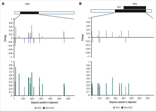 Viral amino acidic variations in NS1 and VP1/2 viral proteins from patients admitted or not to the ICU. Shannon entropy calculated for (A) NS1 and (B) VP1/2 viral proteins (lower panels) and between ICU and non-ICU sequences (upper panels). The upper entropy graph shows differences between ICU and non-ICU subsets (purple: not significant). The lower entropy graph shows single viral amino acid variations within the ICU-related viral sequences (purple) and non-ICU–related viral sequences (green). Low entropy differences between protein sequences from ICU and non-ICU subsets suggest conserved proteins and no viral evolution.