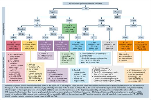 Biological diagnosis strategy for B-CLPDs. Dominant diagnoses appear in the colored boxes in the upper part of the diagram. These 10 colored boxes have been numbered to facilitate their identification in “Results.” Nearly half of the cases are identified with certainty by flow cytometry alone. Only 3.9% of the cases are directed in a group with no dominant subtype. The lower part of the diagram indicates additional tests for either confirmation of the diagnosis proposed by cytometry or discrimination of the other subtypes. CD, cluster of differentiation; CLL, chronic lymphocytic leukemia/lymphocytic lymphoma; FL, follicular lymphoma; HCL, hairy cell leukemia; LPL, lymphoplasmacytic lymphoma; MCL, mantle cell lymphoma; MZL, marginal zone lymphoma; NA, not applicable; NDS, no dominant subtype; PPV, positive predictive value; Q, quantile (in instance percentile). ∗The MYD88 L265P mutation can also be detected in rare cases of MZL and CLL.