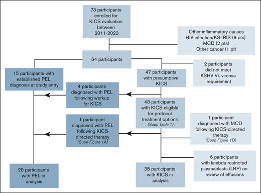 CONSORT diagram for the study of participants enrolled in the KICS study.
