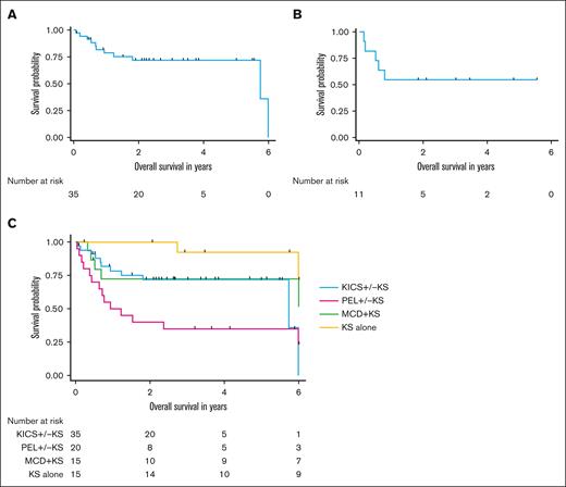 Survival outcomes among participants with KICS and participants with other KAD. (A) OS among all 43 participants with KICS. (B) OS among 11 participants with KICS and KS who received rituximab with KS-directed therapy. (C) OS of participants by KAD diagnosis, censored at 6 years for all participants.
