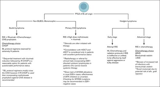 A proposed approach for treatment of newly diagnosed non-DLBCL monomorphic PTLDs of B-cell origin and cHL-PTLD. ABVD, doxorubicin, bleomycin, vinblastine, and dacarbazine; AVD, doxorubicin, vinblastine, and dacarbazine; BTK, Bruton tyrosine kinase.