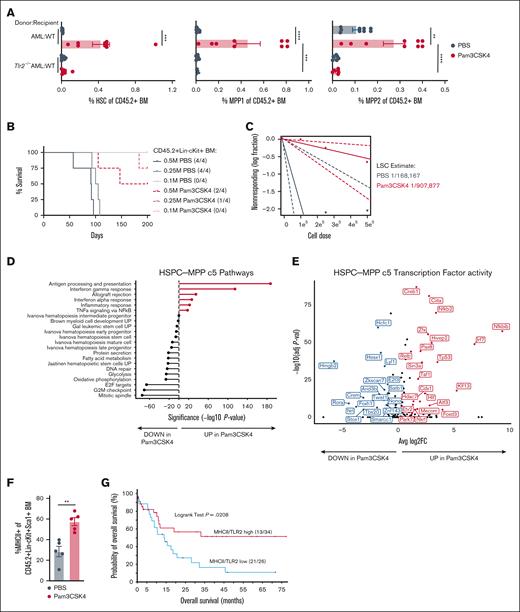 TLR2 signaling causes long-term impairment of LSC activity. (A) Average ± SEM percent immunophenotypic HSC (left), MPP1 (middle), and MPP2 (right) in CD45.2+ BM. Replicates for donor-recipient transplants include: AML-WT (n = 9/group) and AML-Tlr2−/− (n = 8/group). (B) Kaplan-Meier survival curves of WT mice transplanted with limiting numbers (M million) of CD45+Lin−cKit+ BM cells sorted from transplanted WT mice 24 hours after PBS or Pam3CSK4 treatment (n = 4/group). (C) LSC estimation for each treatment group from panel B. (D) Gene set enrichment analysis of significantly differentially expressed genes with Pam3CSK4 vs PBS control treatment in HSPC-MPP c5 cells. (E) Volcano plot of transcription factor activity analyses associated with up and downregulated genes in Pam3CSK4 vs PBS control treatment for HSPC-MPP c5 cells. (F) Average ± SEM percent MHC class II+ cells within the CD45.2+Lin−cKit+Sca1+ (LSK) BM from Dnmt3a+/−Flt3ITD AML-transplanted CD45.1+ WT mice 24 hours after treatment with PBS or Pam3CSK4 (n = 5/group). (G) Comparison of the probability of OS in months for patients with AML with high (n = 34) vs low (n = 26) coexpression of TLR2 and MHCII genes. Statistical significance was calculated by unpaired t test (F). ∗∗P < .01 and log rank test (G). Statistical significance by ordinary 1-way ANOVA using Tukey multiple comparison test between cell populations (A), ELDA analysis (C), unpaired t test (F), and log rank test (G). ∗∗∗∗P < .0001, ∗∗∗P < .001, ∗∗P < .01, ∗P < .05.