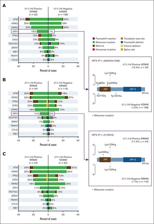 Mutational frequencies in MM driver genes.P values not adjusted for multiplicity. aa, amino acid.