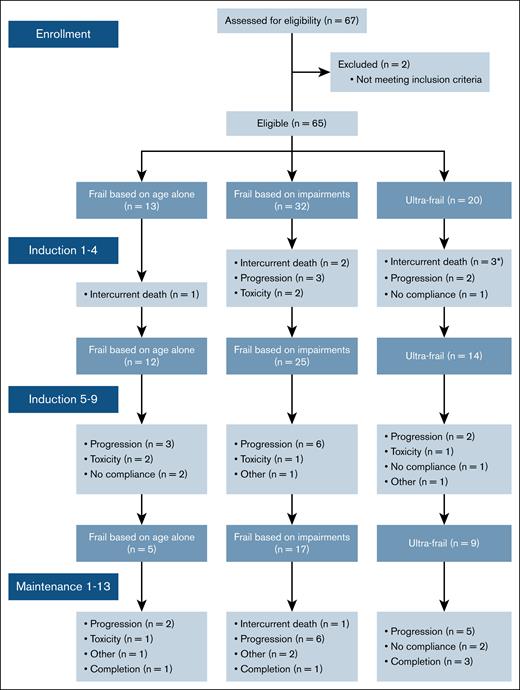Consort diagram of frail patients included in the HOVON 143 depicting timing and reason for treatment discontinuation. ∗One ultrafrail patient died due to sepsis before initiation of the first induction cycle.