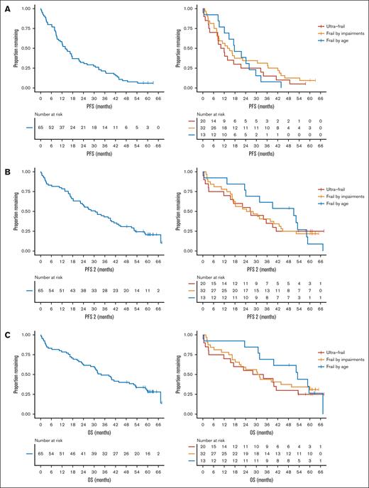 Survival outcomes for all frail patients and across frail subgroups. (A) PFS, (B) PFS2, and (C) OS.