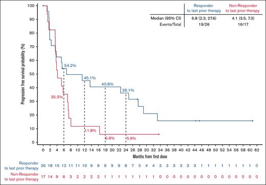 PFS by response status to most recent previous therapy. PFS by response status to most recent previous therapy. Data cutoff of 27 January 2025. NE, not estimable.
