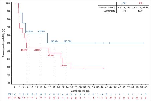 DoR by best overall response. Kaplan-Meier curve of investigator-assessed DoR per Lugano 2014 criteria for patients with R/R FL. Patients with CR or PR from first response. NE, not estimable.