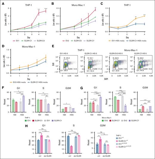 ELDR overexpression affects growth and cell cycle progression. (A-B) ELDR-overexpressing THP-1 lines ELDR-C1, ELDR-C3 and ELDR-overexpressing Mono-Mac-1 lines ELDR-C5 and ELDR-C7 reveal delayed growth measured by trypan blue exclusion when cultured in normal media (NM) compared with control cell lines established by transfection with EV controls. n = 3 biological replicates. (C-D) Growth curves of the ELDR-overexpressing THP-1 cell line (ELDR-C1) or EV control (EV1) and ELDR-overexpressing Mono-Mac-1 cell line (ELDR-C7) or EV control (EV2) in HS-5 conditioned media. n = 3 biological replicates. (E) Representative fluorescence-activated cell sorter (FACS) plots revealing EdU incorporation (y-axis) and DAPI staining (x-axis) of cells from the ELDR-overexpressing THP-1 cell line (ELDR-C1) or the EV control cell line (EV1) and ELDR-overexpressing Mono-Mac-1 cell line (ELDR-C7), or EV control (EV2) grown in HS-5 conditioned media. Cell cycle phase gates and percentage of cells in each gate are indicated on the plot. (F-G) Quantification of cells in G1, S, or G2/M phase of the indicated cell lines grown in NM or HS-5 conditioned media. n = 3 biological replicates. (H) Quantification of cells in G1, S, or G2/M phase from the ELDR-overexpressing THP-1 cell line (ELDR-C1ctrl) or the EV control cell line (EV1ctrl) vs ELDR deleted cell lines ELDR-C1del ELDR or EV1del ELDR grown in HS-5 conditioned media (del ELDR: CRISPR/Cas9 with gRNAs specific to ELDR; ctrl: CRISPR/Cas9 with nontargeting gRNAs). n = 3 biological replicates. Data are presented as mean ± SD. ∗P < .05; ∗∗P < .01; ∗∗∗P < .001; ∗∗∗∗P < .0001. P values were calculated using 1-way ANOVA with Dunnett's multiple comparisons test (statistical analysis: EV1 vs ELDR-C1, ELDR-C3 for THP1, EV2 vs ELDR-C5, ELDR-C7 for Mono-Mac-1) (panels A-B); parametric unpaired t test (panels C-D); 1-way ANOVA with Holm-Šídák's for multiple comparisons test (panels F-H). ns, not significant.