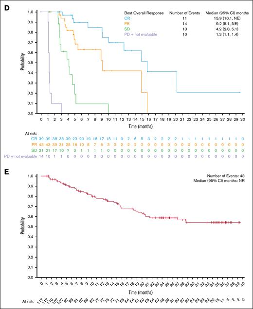 Estimates of duration of response, PFS, and OS. Kaplan-Meier of (A) DOR in the all-treated population, (B) DOR by best overall response, (C) PFS in the all-treated population, (D) PFS by best overall response, and (E) overall survival in the all-treated population. NR, not reached; PD, progressive disease; PR, partial response; SD, stable disease.