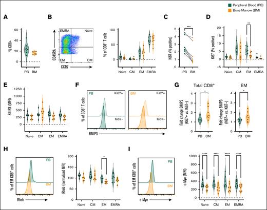 BM CD8+ T cells exhibit impaired proliferation, elevated BNIP3, and decreased c-Myc and Rheb expression in MM. Paired BM and peripheral blood (PB) mononuclear cells from patients with newly diagnosed MM were analyzed by flow cytometry for: (A) frequency of CD8+ T cells; (B) frequency of naïve, CM, EM, and EMRA populations within total CD8+ T cells; (C-D) frequency of Ki67-expressing cells within (C) total CD8+ T cells and (D) indicated populations, (E-G) BNIP3 expression within (E) total indicated populations and (F-G) Ki67+ and Ki67− cells, (F) representative histograms of total CD8+ T cells, and (G) fold change of BNIP3 abundance in Ki67+ vs Ki67− cells of indicated populations, (H) Rheb abundance (representative histograms of total CD8+ T cells and mean within indicated populations), and (I) c-Myc abundance (representative histograms of total CD8+ T cells and mean within indicated populations). For all analyses n = 8 independent paired samples, data are shown as (B-D) percentage of parent population, or (E-I) MFI. Where normalized (H), this is to the average (mean) MFI of all populations from matched samples for each individual patient. P values were calculated by (C,G) paired t test, and (D, H, I) 2-way ANOVA and Holm-Sidak’s post hoc test. ∗P < .05, ∗∗P < .01, ∗∗∗P < .001, ∗∗∗∗P < .0001.