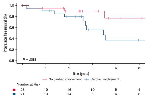 Kaplan-Meier survival curves illustrating PFS in patients with ECD-C and ECD-noC who received targeted therapy.