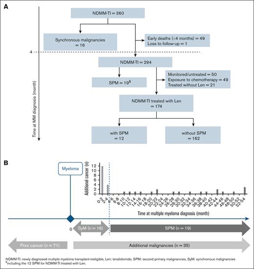 Flow chart and distribution of additional malignancies. (A) Flow chart. (B) Multiple primary cancers in TI patients with NDMM (n = 360). With a median follow-up of 42 months (95% CI, 40-44), 35 of 360 (9.7%) patients had a diagnosis of AdMs after MM diagnosis, including 16 SyMs and 19 SPMs. Of the 174 patients treated up front with Len-based regimens, 12 (6.9%) had an SPM.