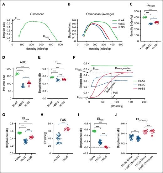 HbSC RBCs exhibit distinct deformability profiles in osmotic or oxygen gradient ektacytometry. (A) Representative LoRRca osmoscan profiles for a 4-month-old HbAA mouse showing key indices. (B) Average osmoscan curves for HbAA, HbSC, and HbSS mice showing a leftward shift with HbSS (red) and HbSC (blue) compared to HbAA (green) mice. (C) Significant reduction of Ohyper in HbSC and HbSS mice compared to HbAA mice. (D) Reduced area under curve (AUC) in HbSC and HbSS mice. (E) Reduced EImax in HbSC and HbSS mice. (F) Representative LoRRca oxygenscan profiles for 4-month-old HbAA, HbSC, and HbSS mice. (G) Significant decrease of EImax in HbSC and HbSS mice. (H) Significant reduction in point of sickling at which the EI decreases to 95% of EImax in HbSC vs HbSS mice. (I) Significant reduction of EImin in HbSC and HbSS mice. (J) Persistent increase in deformability of RBCs from HbSC mice after deoxygenation-reoxygenation (HbAA, n = 10; HbSC, n = 12; HbSS, n = 6). Comparisons to HbAA mice are indicated in black; comparisons between HbSC and HbSS mice are indicated in blue. Data are presented as mean ± standard deviation. ∗P < .05; ∗∗P < .01; ∗∗∗P < .001. ns, no significance.