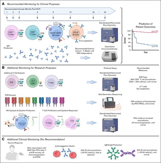 Summary of recommendations for monitoring of post-HCT IR. (A) Recommended monitoring for clinical purposes: we recommend monitoring of CD4+ T cells, CD8+ T cells, NK cells, and B cells, with corresponding time points. Recommended periodic assessment of IgG production until IVIG independence is reached. (B) Additional monitoring for research purposes: several additional T-cell subsets can be monitored in the context of research studies. It is generally advisable to monitor CD4+ T-cell subsets when the total number of CD4+ T cells exceeds 200/μL. It is also possible to monitor TCR diversity by next-generation sequencing. Finally, it is possible to perform functional assays to evaluate NK cell cytolytic function and cytokine production or to evaluate T-cell proliferative capacity and cytokine response. (C) Additional tests can be performed in clinical setting but are not routinely recommended due to lack of evidence and/or standardized methods. See Table 5 for further details on our recommendations. DTaP, ditpheria tetanus acellular pertussis vaccination; Hib, haemophilus B vaccination; IVIG, IV immunoglobulins; PCV, pneumococcal conjugate vaccine.