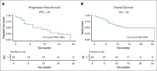 Overall progression free and overall survival. PFS (A) and OS (B) in patients.