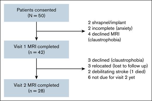 Patient cohort for analysis.