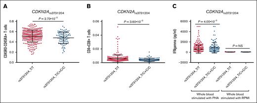 Functional impact of the CDKN2Ars3731204 SNP. Association of the CDKN2Ars3731204 SNP with absolute numbers of specific subsets of T cells (A and B) and IFN-γ levels after in vitro stimulation of WB with PHA (C). NS, nonsignificant; PHA, phytohemagglutinin; WB, whole blood.