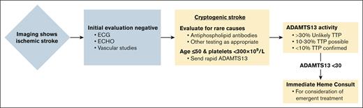 Algorithm for incorporating ADAMTS13 testing in the workup of cryptogenic stroke.