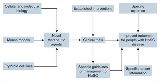 Pathways to improve outcomes for people with HbSC disease.