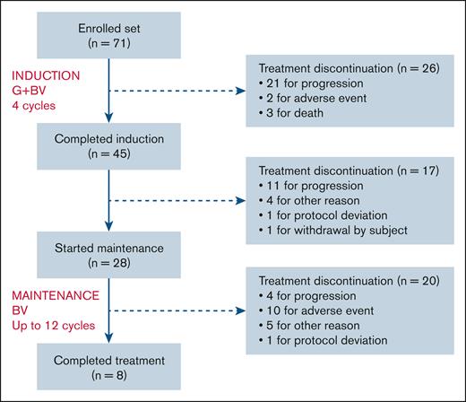 CONSORT diagram. Protocol deviations were: in 1 patient, the administration of a fifth BV induction cycle before a consolidation with auto-HCT; and 1 patient, the absence of a 12th cycle of maintenance. “Other reason” means patients withdrawn for transplantation program as permitted by protocol after initial evaluation, either before (n = 4) or during maintenance (n = 5).