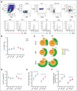 ILCs in MM progression. (A) Gating strategy for ILC identification and transcription factor expression in different ILC subsets present in BM and PB. (B) The plot represents the percentages of ILCs (Lin–/CD127+) expressed as median values ± SEM in PB and BM of patients with MM among the different stages (MGUS, SMM, and NDMM). (C) Representative Sunburst view of the ILC subsets among leukocytes (CD45+ cells, dark orange circle). Lin–CD127+ cells (orange circle), ILC1 (light orange), ILC2 (green), and ILC3 (light green) among the different MM stages in PB (left) and BM (right), analyzed with Cytobank Premium. (D-F) Frequency of ILC1 (D), ILC2 (E), and ILC2 CRTH2+CD117– (F) in PB and BM of patients with MM among the different stages. A Mann-Whitney t test was performed; ∗P < .05 and ∗∗P < .005.