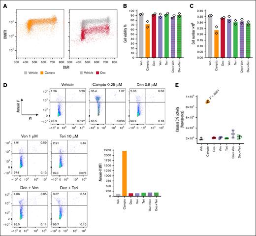 Decitabine at DNMT1-depleting concentrations, alone or in combination with teriflunomide or venetoclax, did not activate apoptosis in NHSPC compared with camptothecin positive control. CD34+ NHSPC isolated from umbilical cord blood were treated with vehicle, camptothecin 0.25μM, decitabine 0.5μM, venetoclax 1μM, teriflunomide 10μM, or combinations, as indicated. Measurements were performed after 24 hours of treatment. Independent biological replicates. (A) DNMT1 protein and DNA content (DAPI) was measured by flow cytometry in vehicle-, camptothecin-, and decitabine-treated cells. Fluorescence intensities. (B) Cell viability was measured by automated counter. (C) Cell count was measured by automated counter. (D) Apoptosis was measured by flow cytometry for Annexin V and PI staining. Bar graph shows Annexin V, MFI. (E) Apoptosis was also measured by fluorescence assay for caspase 3 and 7 activation. Technical triplicate from first biological replicate, similar results from second biological replicate. Significant increase observed only with camptothecin positive control, P values are from unpaired 2-sided t test. Campto, camptothecin; DAPI, 4′,6-diamidino-2-phenylindole; Dec, decitabine; MFI, median fluorescence intensity; PI, propidium iodide; Teri, teriflunomide; Veh, vehicle; Ven, venetoclax.