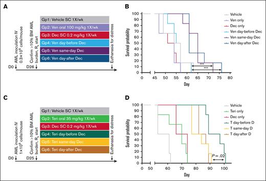 Schedules of venetoclax or teriflunomide in relationship to decitabine affect anti-AML efficacy in vivo. (A) Experiment schema evaluating different schedules of venetoclax in relationship to decitabine. NSG mice were tail-vein inoculated with 0.3 × 106 AML cells from a patient with cytarabine- and HMA-refractory AML. Treatments were initiated after confirmation of engraftment to >10% hCD45+ cells in the BM in 3 mice. (B) Time to distress. Mice were euthanized for signs of distress as per the animal protocol. P values from log-rank test. Leukemia burden in the marrow and spleen at time of euthanasia is shown in supplemental Figure 4A-B. (C) Experiment schema evaluating different schedules of teriflunomide in relationship to decitabine. NSG mice were tail-vein inoculated with 1 × 106 AML cells from a patient with TP53-mutated complex cytogenetics AML. Treatments were initiated after confirmation of engraftment to >10% hCD45+ cells in the BM in 3 mice. (D) Time to distress. Mice were euthanized for signs of distress as per the animal protocol. P values from log-rank tests. Leukemia burden in the marrow and spleen at time of euthanasia is shown in supplemental Figure 4B-C. BM, bone marrow; D, decitabine; Dec, decitabine; SC, subcutaneous; Teri, teriflunomide; T, teriflunomide; Ven, venetoclax.