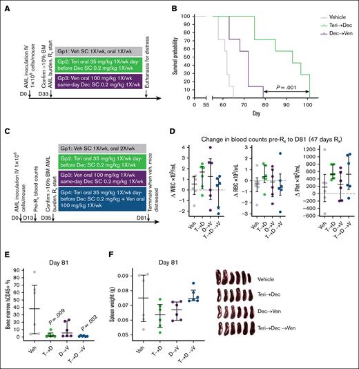 The optimal schedule of teriflunomide/HMA was more efficacious than the optimal schedule of venetoclax/HMA to treat TP53-mutated complex cytogenetics AML. NSG mice were tail-vein inoculated with 1 × 106 AML cells from a patient with TP53-mutated complex cytogenetics AML. Treatment was started after confirmation of BM engraftment to >10% hCD45+ cells in 3 mice. (A) Experiment schema. (B) Time to distress. Mice were euthanized for signs of distress as per the animal protocol. P values are from log-rank tests. Leukemia burden in the marrow and spleen at time of euthanasia is shown in supplemental Figure 4E-F. (C) Experiment schema for repeat experiment in which all mice were euthanized at a fixed time point (when vehicle-treated mice demonstrated signs of distress at day 81, after 47 days of treatment for all groups). (D) Change in WBC, RBC, and platelet counts between days 13 and 81 (47 days of treatment). (E) BM leukemia burden (percentage of hCD45+ cells) at day 81. Only significant P values (P < .05) are shown, 2-sided Mann-Whitney U test, vs vehicle. (F) Spleen leukemia burden measured by spleen weights at day 81. D, decitabine; Dec, decitabine; Plat, platelet; RBC, red blood cell; Rx, treatment; SC, subcutaneous; T, teriflunomide; Teri, teriflunomide; Veh, vehicle; Ven, venetoclax; WBC, white blood cell.