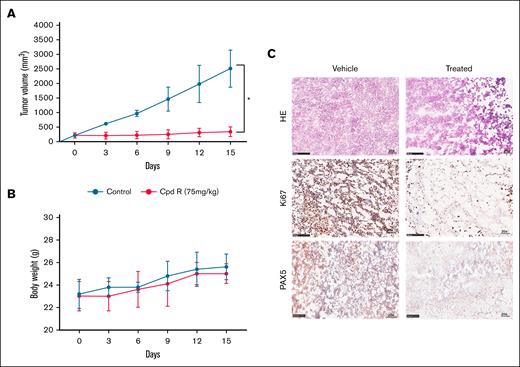 Efficacy of Cpd R in in vivo MCL model. In the subcutaneous model, Z138 cells (5 × 106) were injected in the flank region (n = 6). Ten days after establishing the tumor, mice were randomized and treated with Cpd R (75 mg/kg IP twice daily) for 14 days. The analysis involved monitoring of (A) tumor growth volume and (B) changes in body weight, which were assessed every 3 days. (C) HE staining and immunohistochemistry staining of Ki67 and PAX5 of tumor sections are analyzed between vehicle and drug-treated animals. Original magnification ×20. HE, hematoxylin and eosin.
