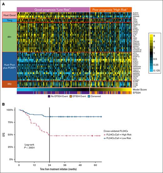 Development of the FL24Cx gene expression signature. (A) Heat map of 45-gene signature in training cohort with gene group designations and mapped to EFS24. (B) Kaplan-Meier curve of EFS in cross-validated training data (24 months marked with vertical line), stratified by FL24Cx, with low-risk calls represented by the solid blue line and high-risk calls represented by the dashed red line.