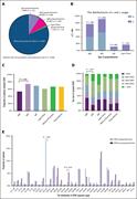 The distribution of MG in CLL and its relationship to IGHV gene. (A) Distribution of different subtypes of MG. (B) The distribution of lambda and kappa light-chain use in different types of paraproteinemia. (C) Proportion of patients with mutated IGHV in different MG group. (D) Relationship between MG subtypes and IGHV mutational status. (E) The distribution of IGHV segment use in patients with or without MG.