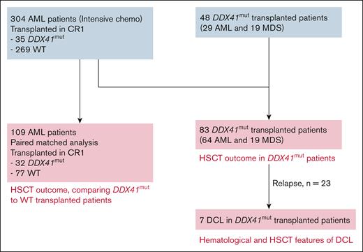 Flowchart summarizing patients included in each analysis.