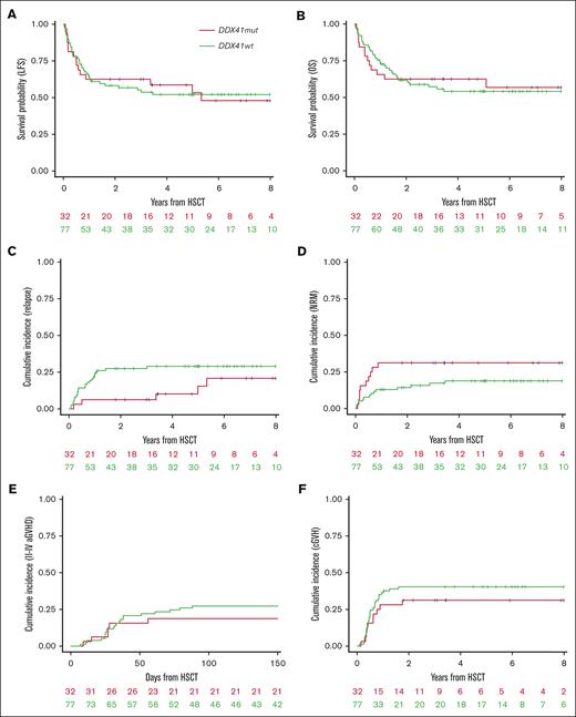 Outcomes of the 109 pair-matched patients with AML (77 DDX41WT and 32 DDX41mut). (A) LFS. (B) OS. (C) Cumulative incidence of relapse. (D) Cumulative incidence of NRM. (E) Cumulative incidence of grade 2 to 4 acute GVHD. (F) Cumulative incidence of cGVHD.