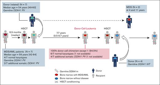 DCL. Features and outcomes of the 7 patients who experienced DCL after a first related HSCT.