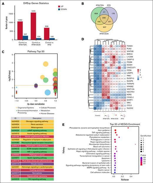 Analysis of transcriptome regulation induced by RTD. (A) Statistical analysis of differentially expressed genes. (B) The Venn diagram displays differentially expressed genes. (C) The z score bubble plot analysis of 176 unique differentially expressed genes induced by RTD. (D) Heat map analysis of representative common differentially expressed genes. (E) KEGG enrichment bubble chart of 208 common differentially expressed genes. KEGG, Kyoto Encyclopedia of Genes and Genomes; TNF, tumor necrosis factor.