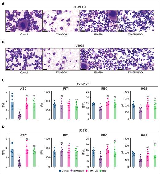 Blood toxicity assessment of RTD. (A) Wright staining of bone marrow cells for SU-DHL-4 tumor model. (B) Wright staining of bone marrow cells for U2932 tumor model. (C) The blood routine examination for SU-DHL-4 tumor model. (D) The blood routine examination for U2932 tumor model: WBC, PLT, RBC, and HGB. The results of histogram from panels C-D are shown as mean ± SD (n = 6; ∗P < .05; ∗∗∗∗P < .0001), compared to control group by 1-way ANOVA. HGB, hemoglobin; ns, no significance; PLT, platelet; RBC, red blood cell; WBC, white blood cell.